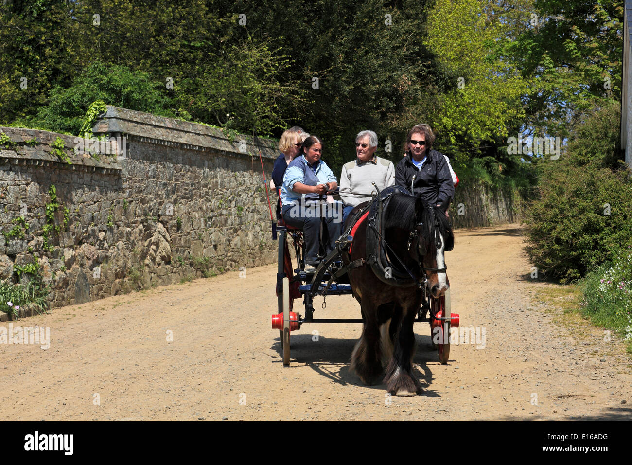 9247. Horse Carriage, Sark, Channel Islands, UK, Europe Stock Photo