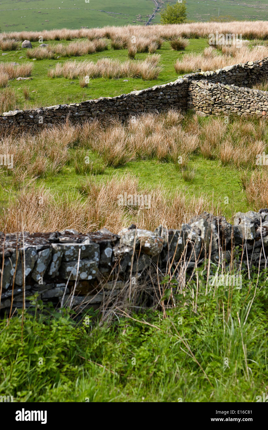 dry stone wall field boundaries in cumbria uk Stock Photo