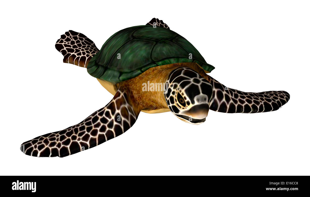 3D digital render of a swimming sea turtle isolated on white background ...