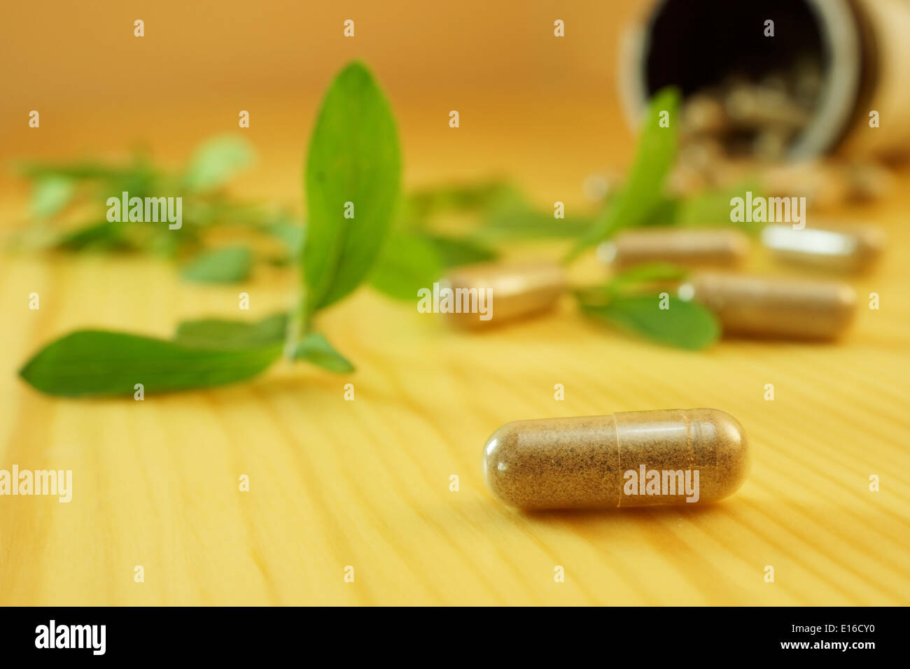 Herb capsule with green herbal leaf Stock Photo