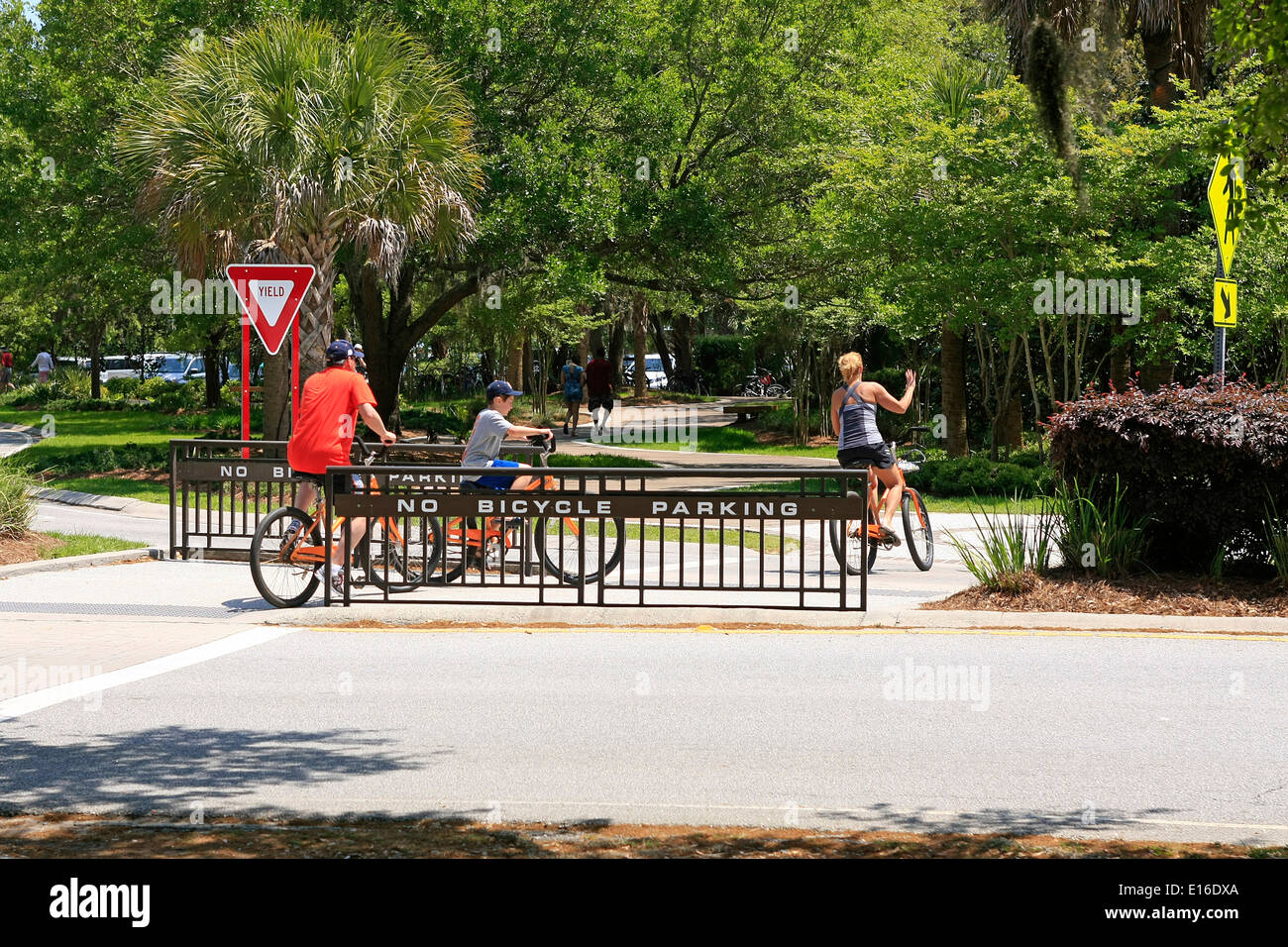 Hilton head bike riding hires stock photography and images Alamy