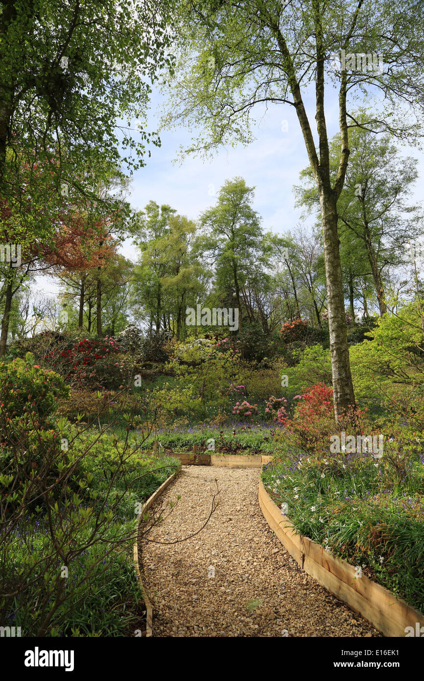 The Himalayan Garden Grewelthorpe Ripon Stock Photo Alamy