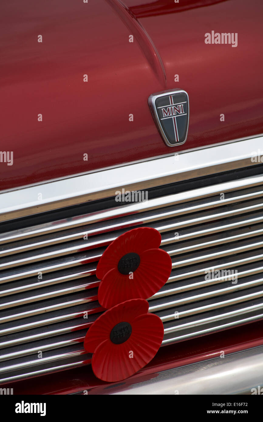 Red Mini car with two remembrance red poppies on grille at Bournemouth