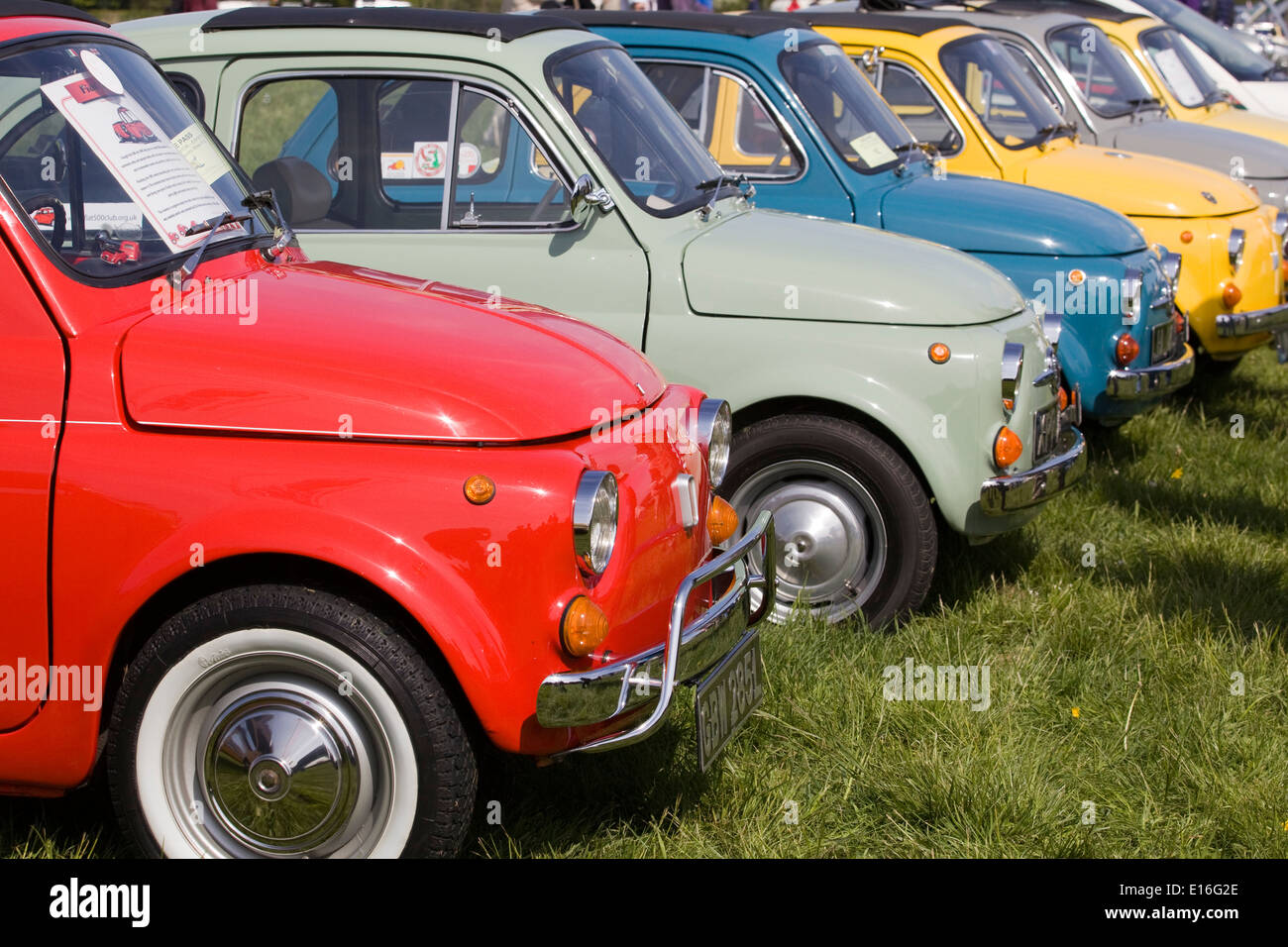 Row of Vintage Fiat 500's at a show Stock Photo