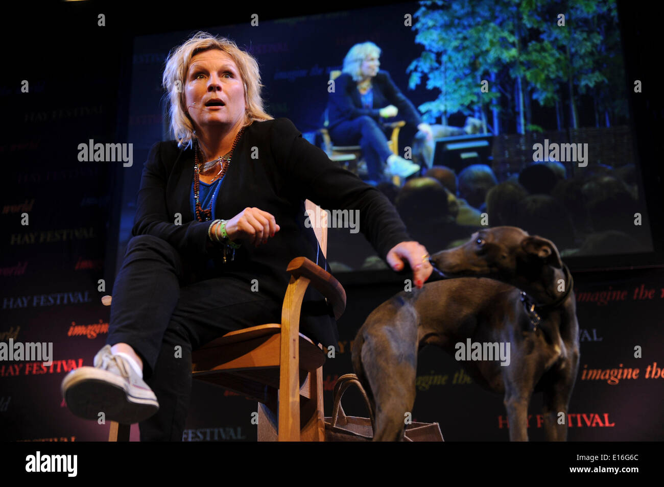 Hay on Wye, Wales UK, Saturday 24 May 2014 Comedian JENNIFER SAUNDERS with her whippet dog OLIVE on stage on the third day of the 2014 Daily Telegraph Hay Literature Festival, Wales UK Credit:  keith morris/Alamy Live News Stock Photo