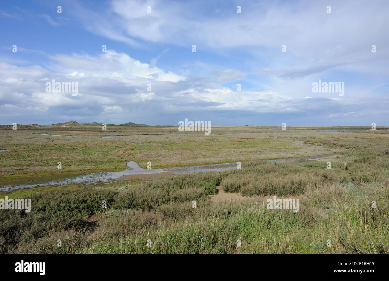 Salt marshes.  Blakeny Point. Blakeney, Norfolk, UK. Stock Photo