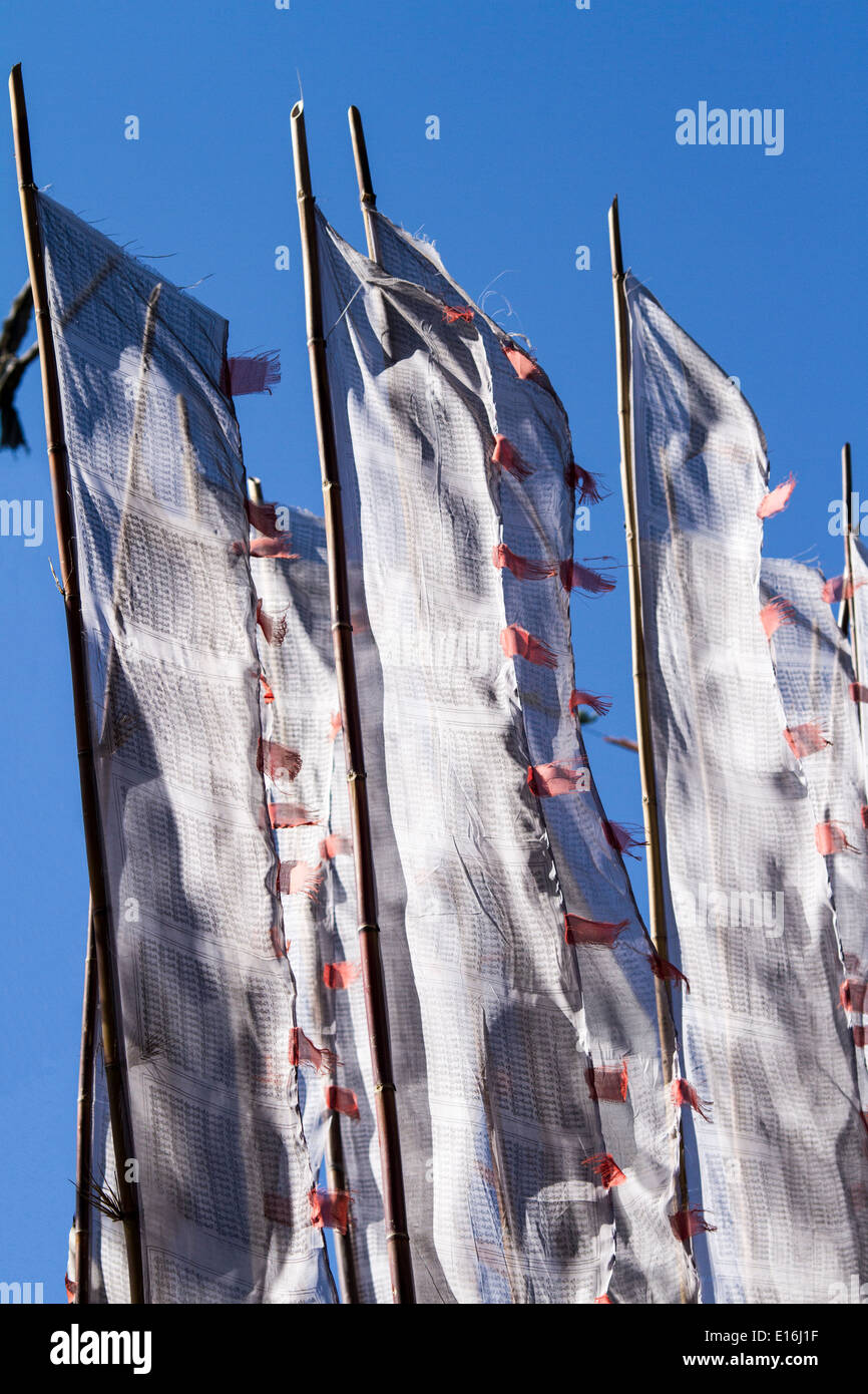 Buddhist prayer flags on the wind against blue sky Stock Photo