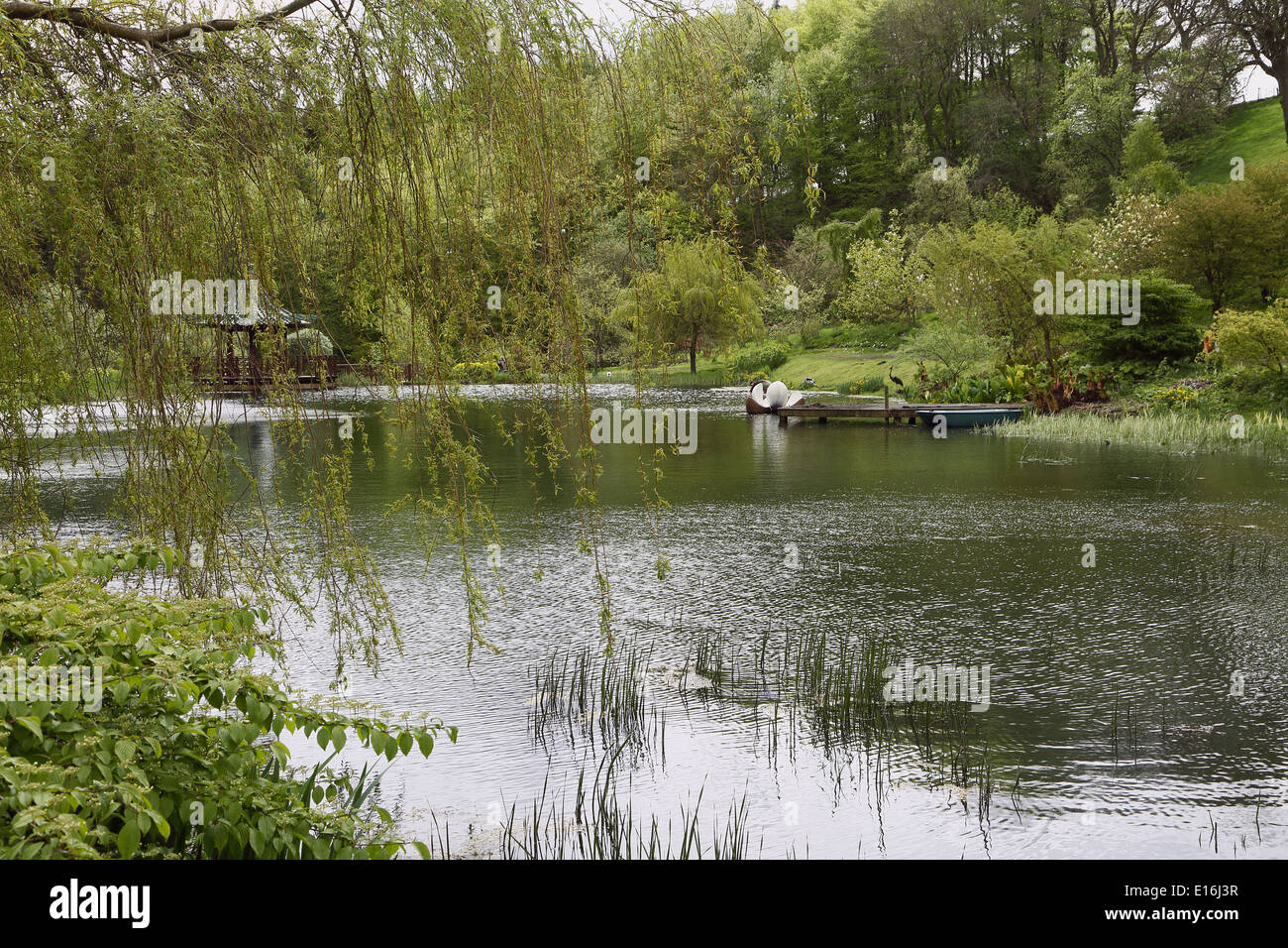 The Himalayan Garden Grewelthorpe Ripon Stock Photo - Alamy