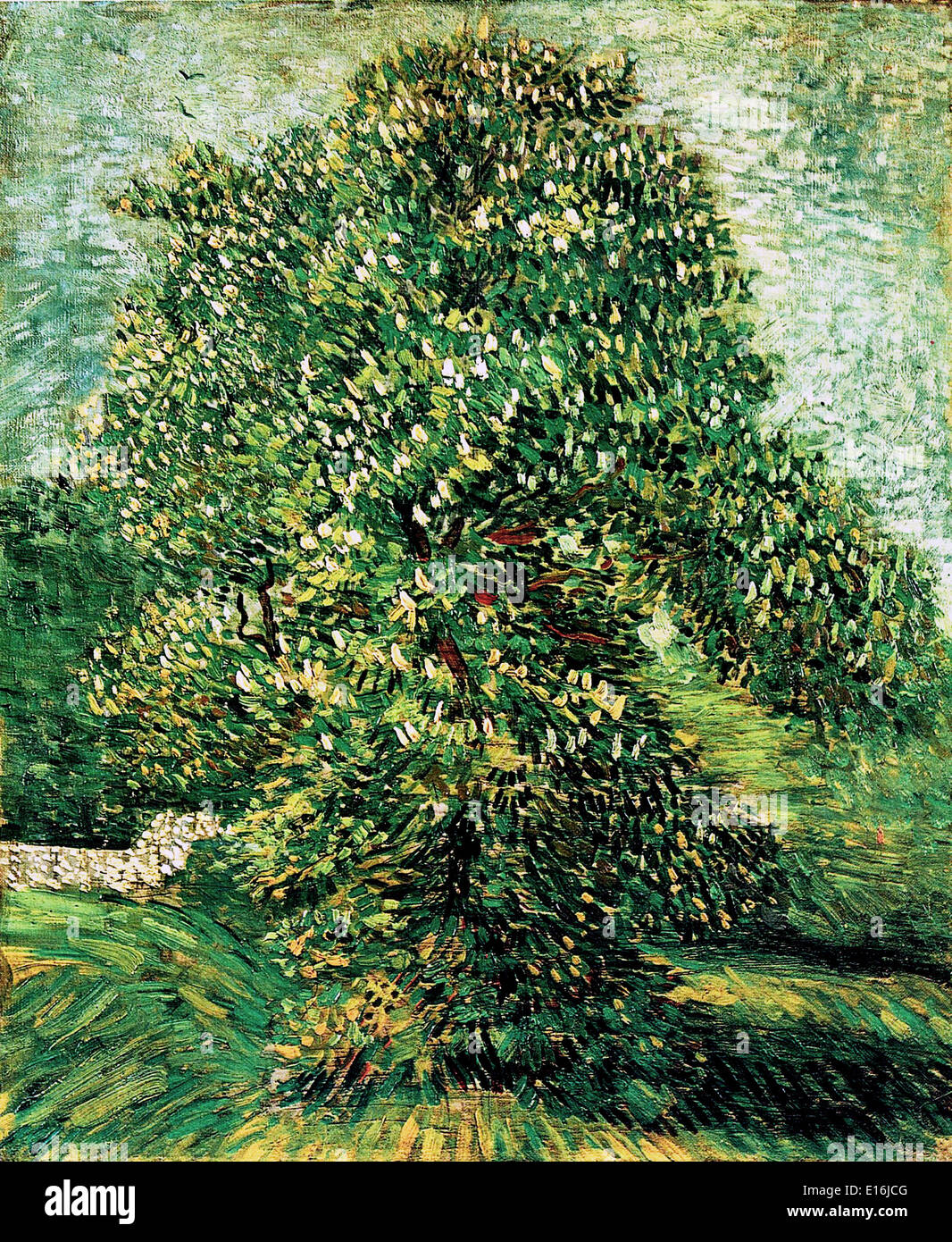 Van Gogh Blossom High Resolution Stock Photography And Images Alamy