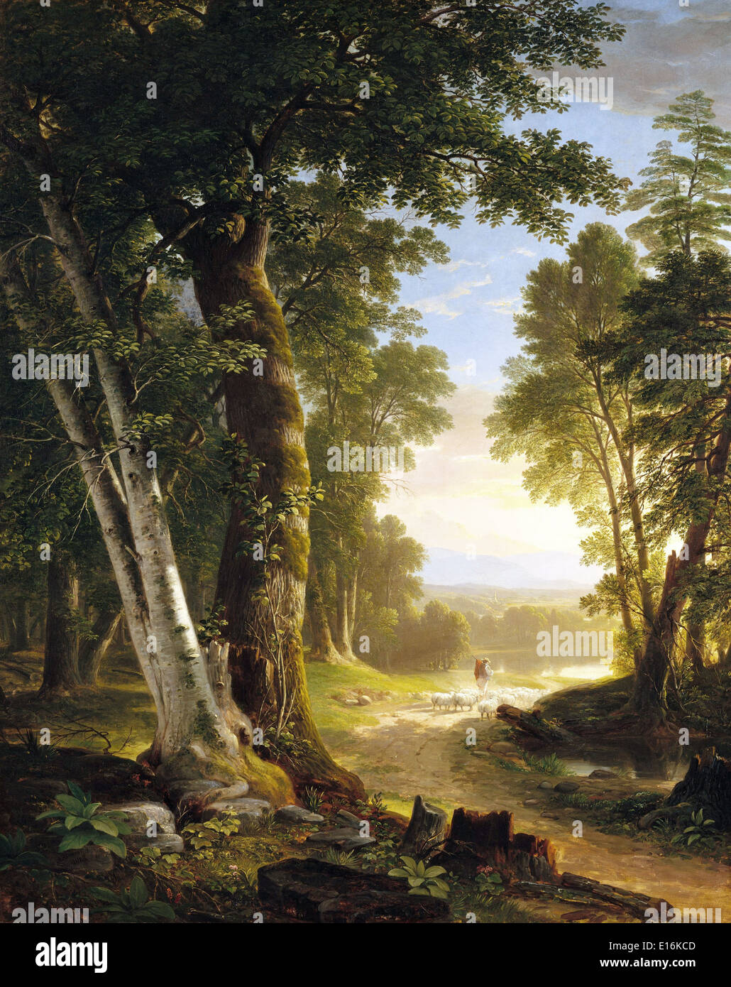 Beeches by Asher Brown Durand, 1845, Hudson River School Stock Photo