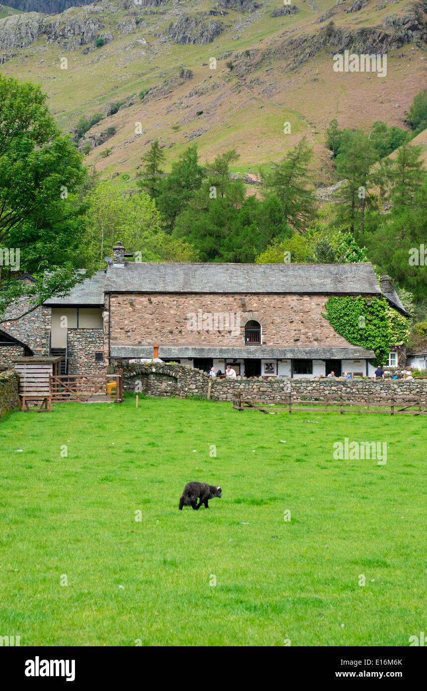 Sticklebarn lake district hi-res stock photography and images - Alamy
