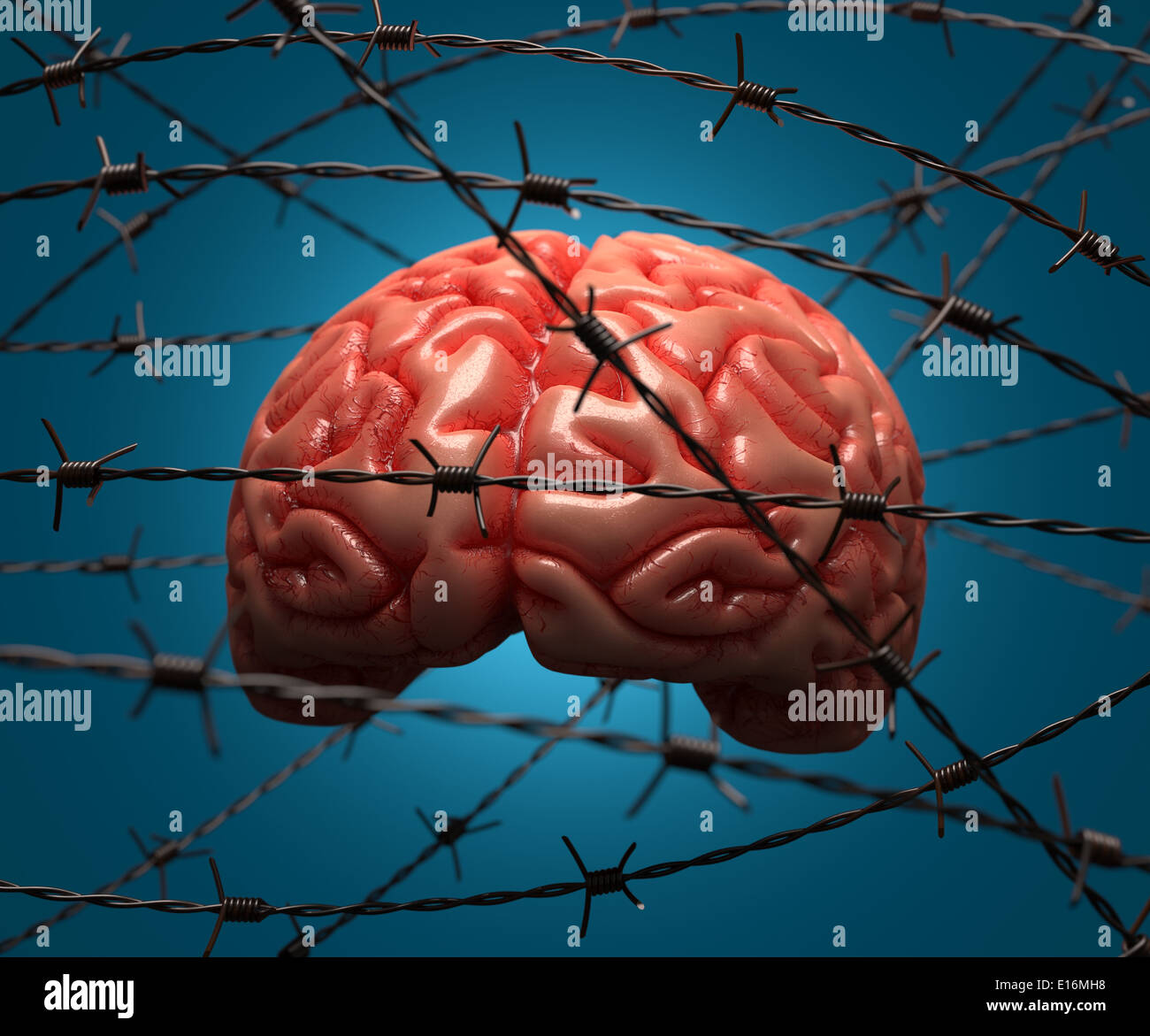 Brain trapped by barbed wire. Concept of the human mind. Stock Photo