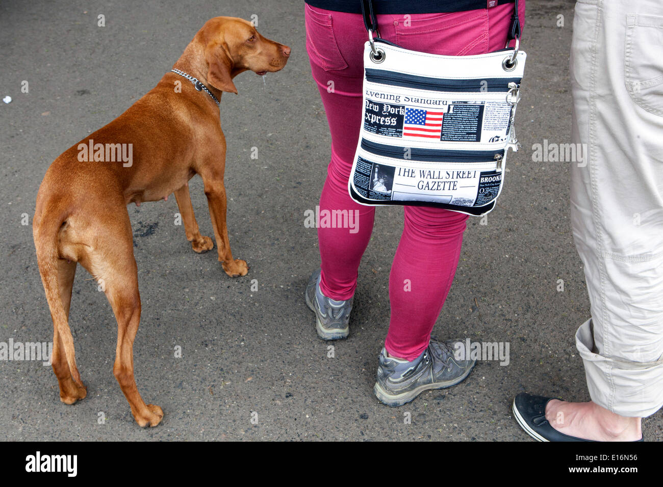 Rhodesian hi-res stock photography and images - Alamy