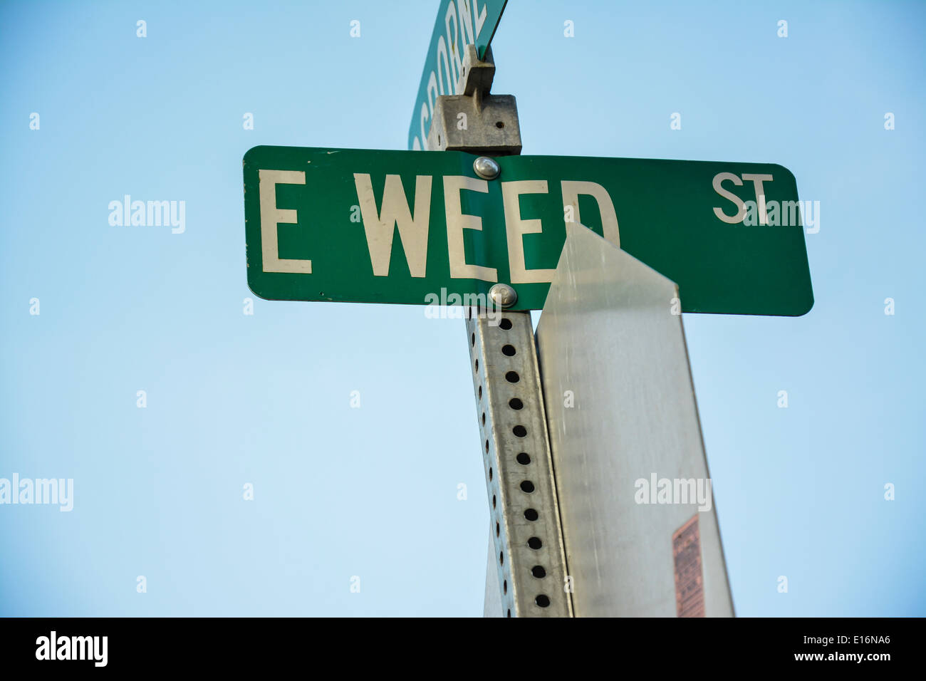 Weed Street sign is a funny double entendre due to the legal access to marijuana expanding all over the USA Stock Photo