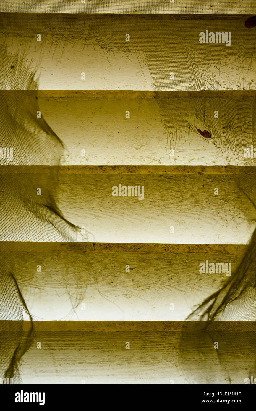 An unusual artistic view of a ripped & torn window screen on the inside ...