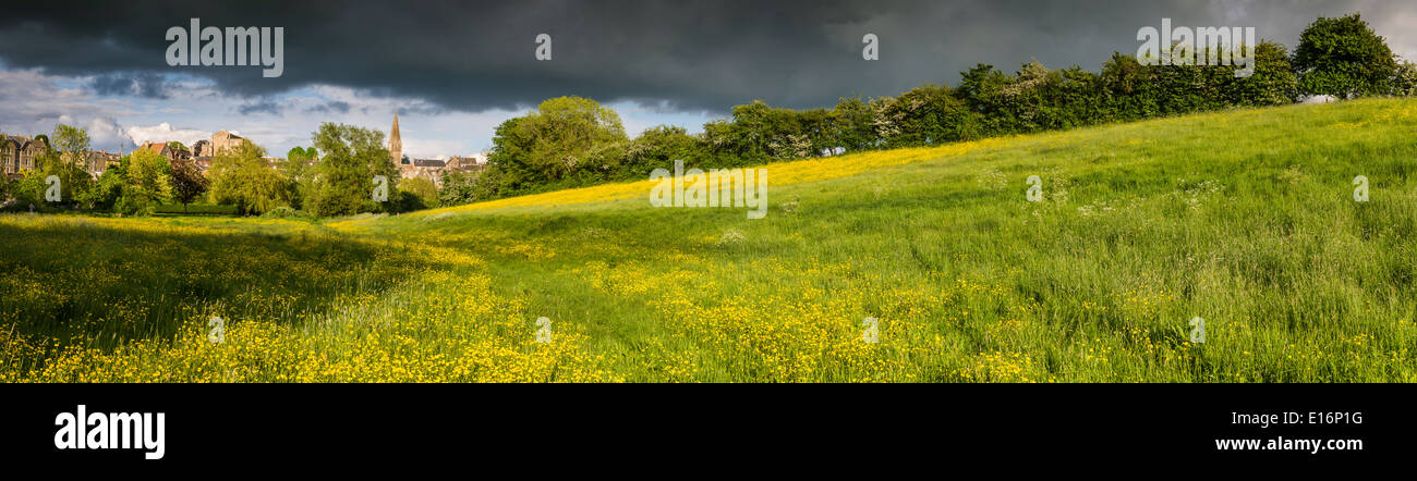 The yellow Buttercups contrast against the storm clouds rolling in over the water meadow in Malmesbury, Wiltshire. Stock Photo