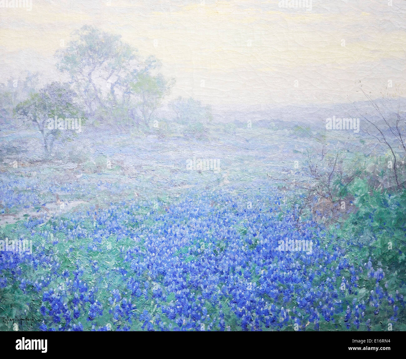 A Cloudy Day Bluebonnets Near San Antonio By Julian Onderdonk 1918 Stock Photo Alamy