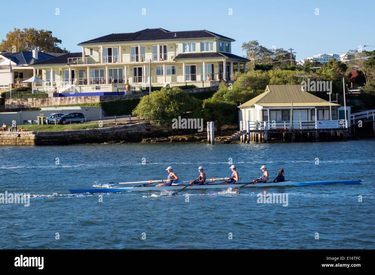 Sydney Australia,Harbour,harbor,water,Parramatta River,Abbotsford,sculling,rowing,boat,man men male,team,AU140311142 Stock Photo