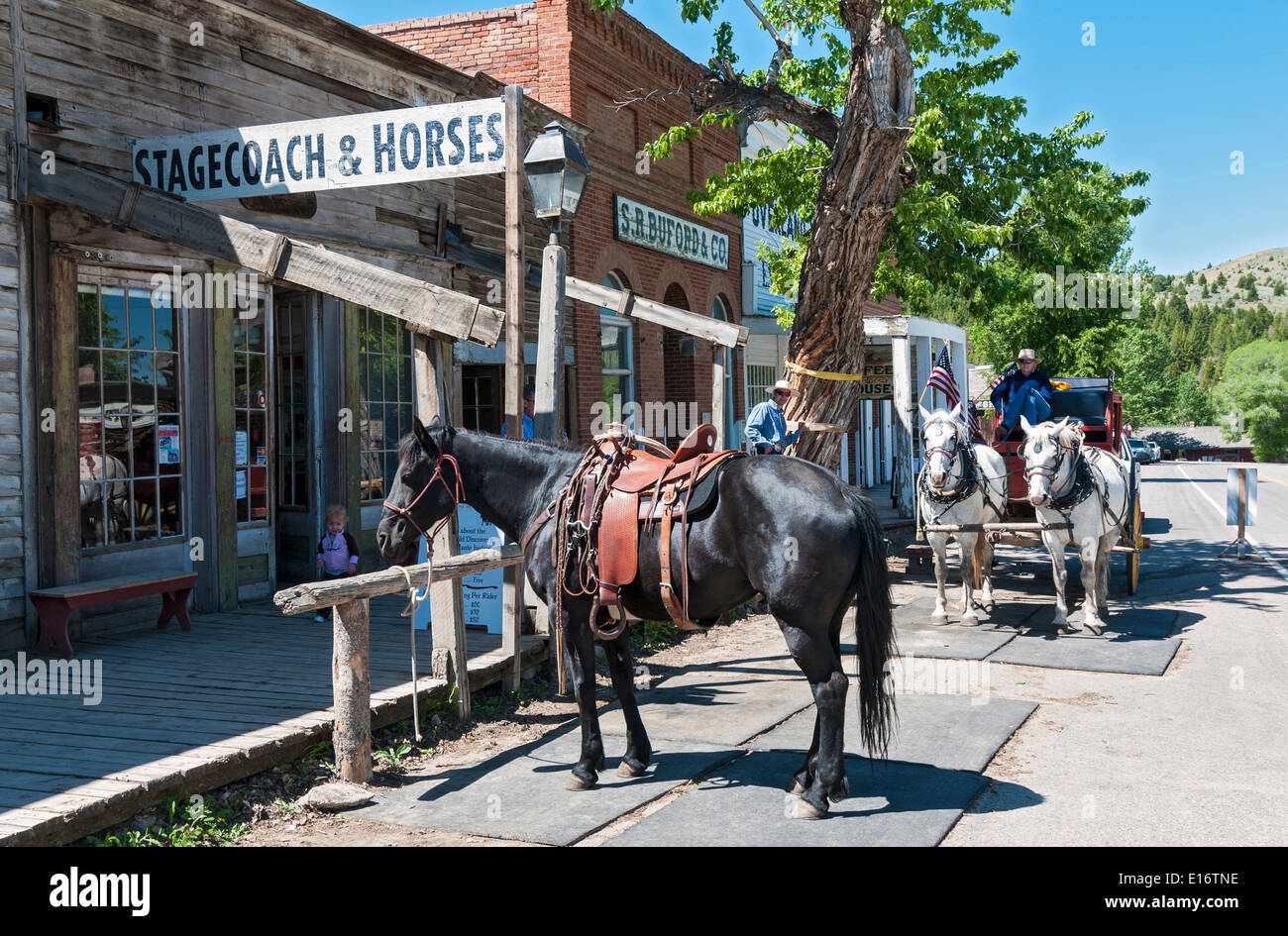 Montana, Virginia City, National Historic Landmark District, 19C gold mining town, Stagecoach Tours Stock Photo