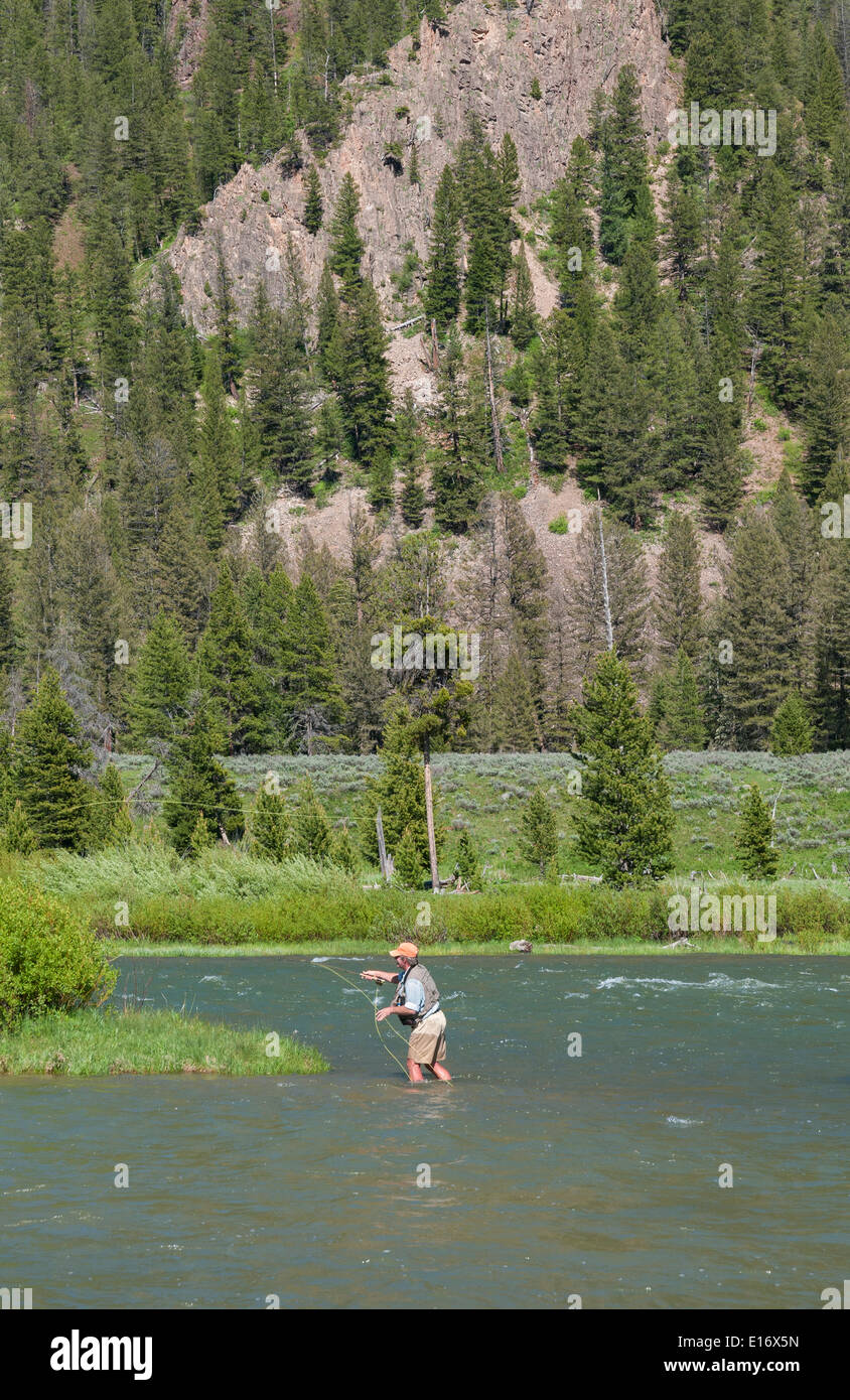 Montana, Madison River, fly fisherman fishing Stock Photo