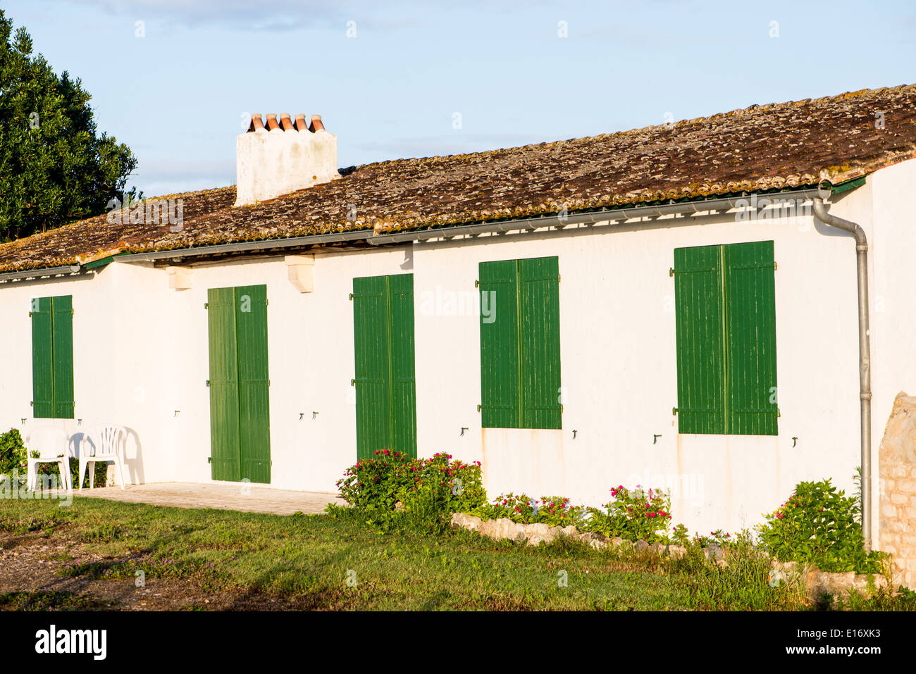 Traditional house, Ile de Re, France Stock Photo Alamy