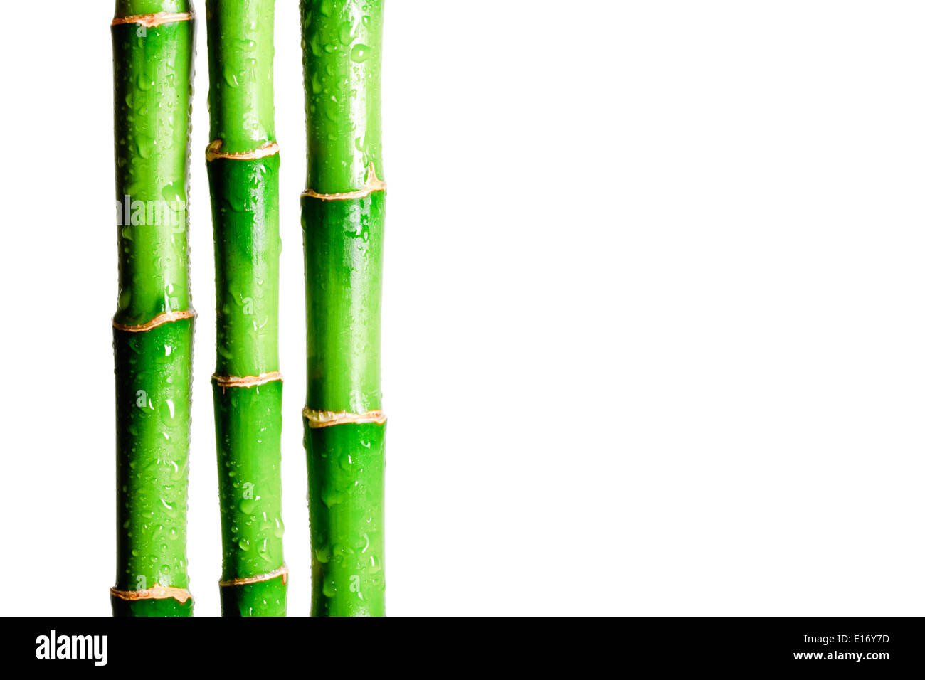 Bamboo stick hires stock photography and images Alamy