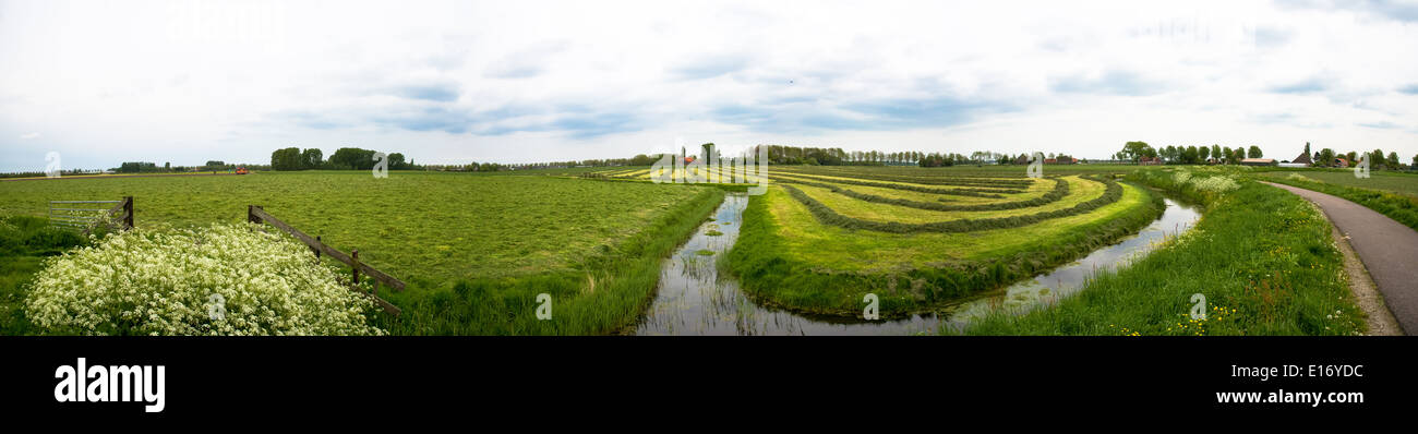 panoramic view of the worldheritage polder the beemster in the netherlands Stock Photo