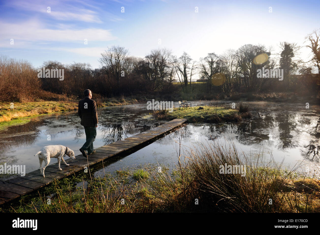 A man crossing a wooden bridge with his dog UK Stock Photo