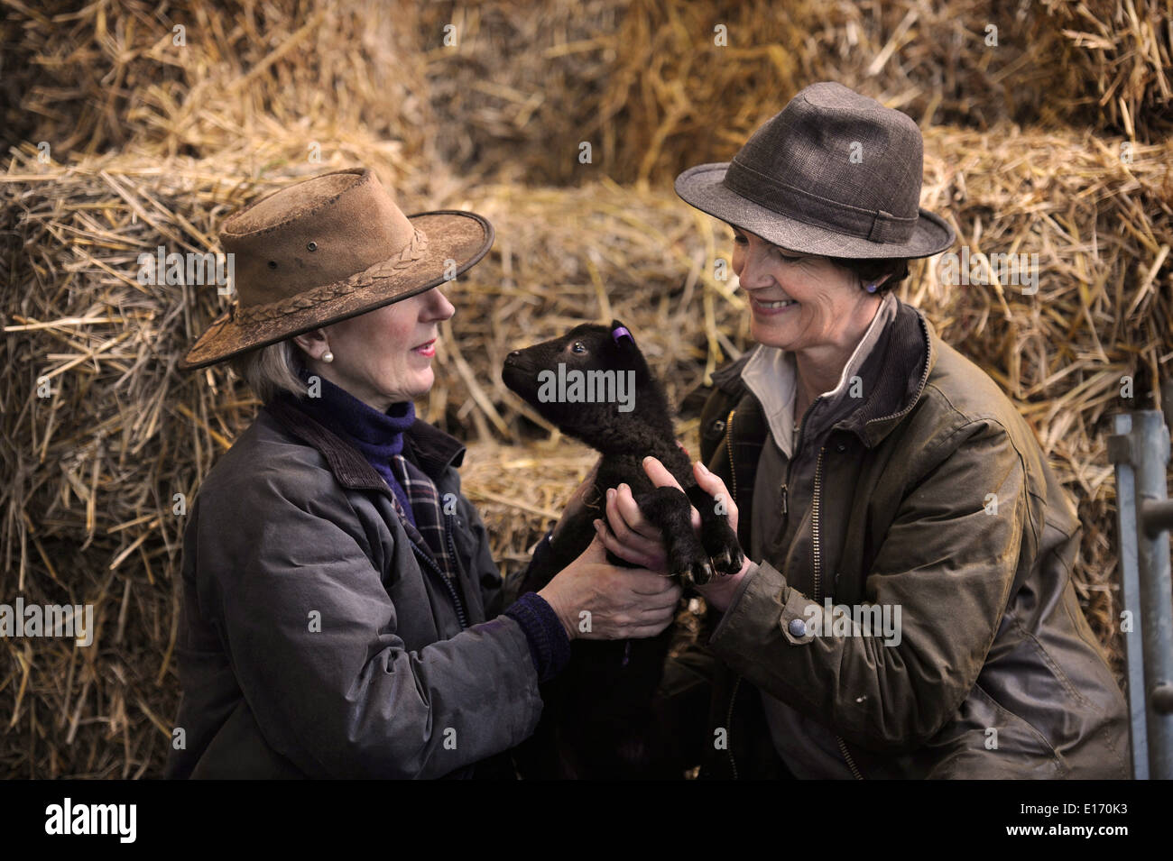 Two Female Farmers With A Newborn Spring Lamb From Their Manx Loaghtan