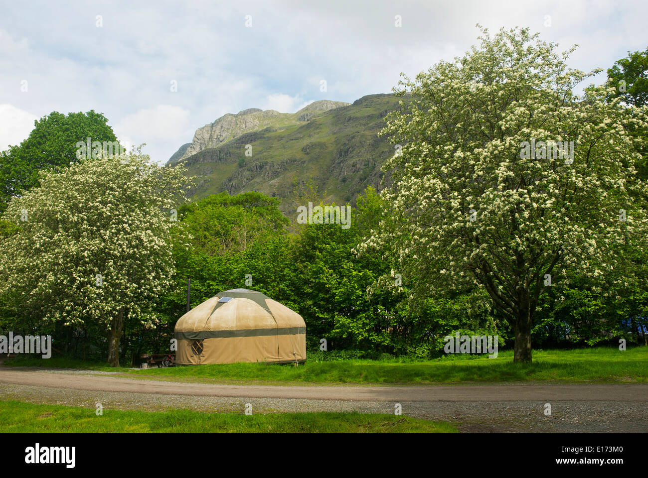 Yurt on Great Langdale Campsite, Lake District National Park, Cumbria, England UK Stock Photo