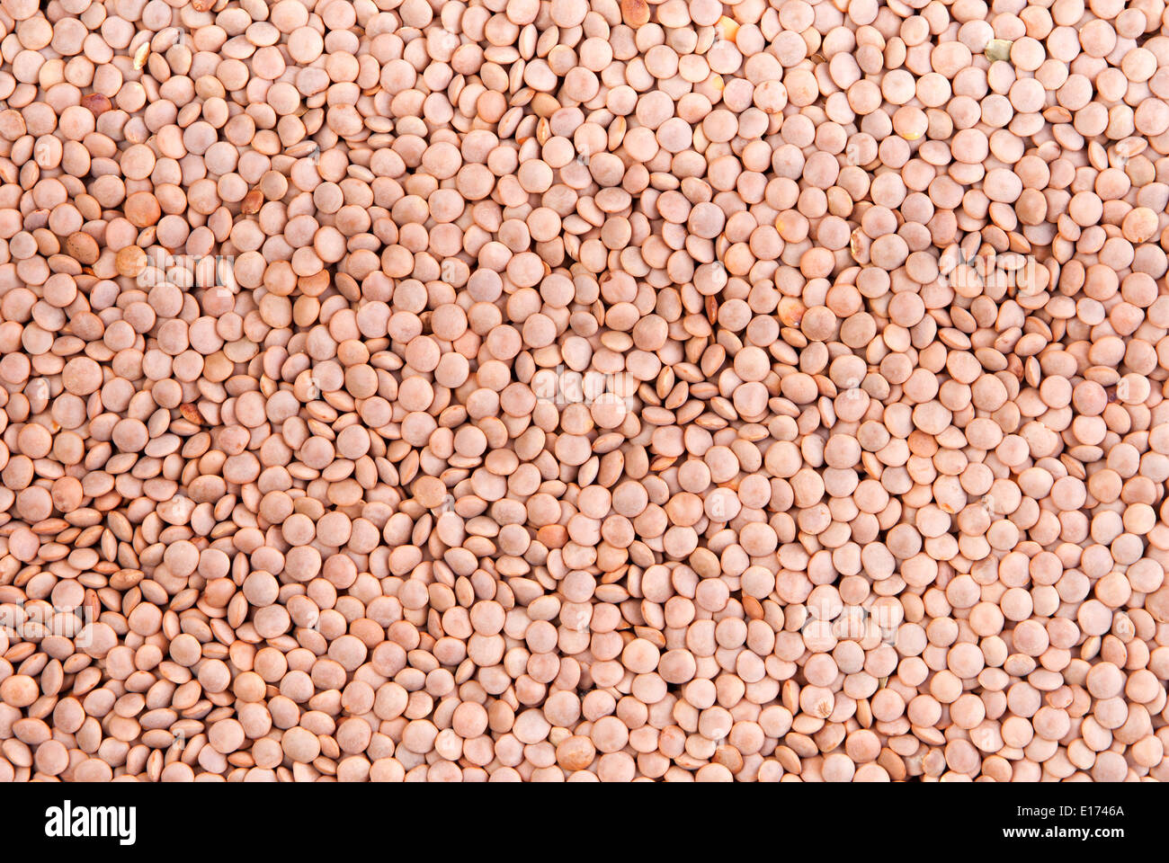 Uncooked brown lentil background. Top view Stock Photo