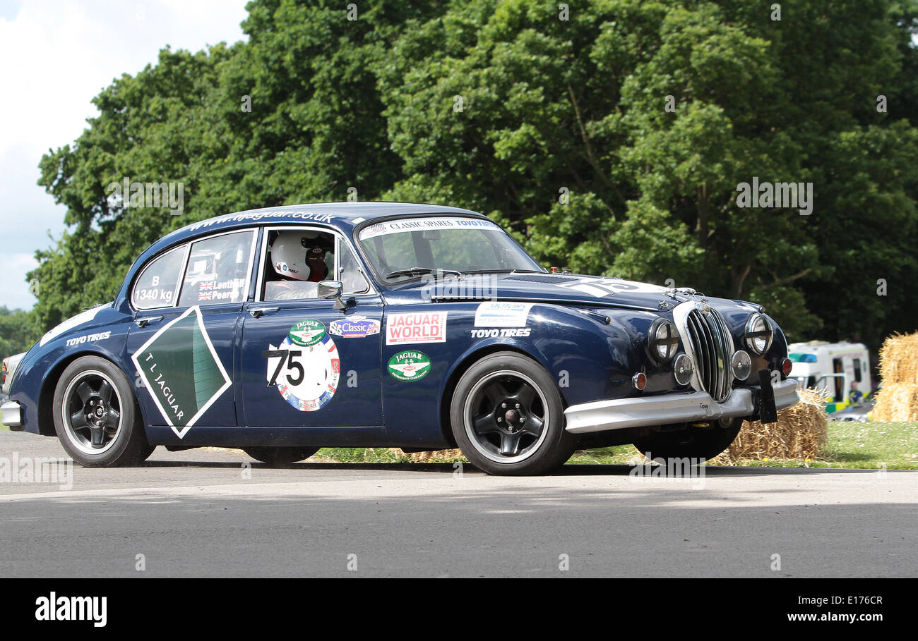 London, UK. 25th May, 2014. Competitors at the 2014 Motor Sport At The Palace at Crystal Palace Park South London 25.05.2014 Credit:  theodore liasi/Alamy Live News Stock Photo