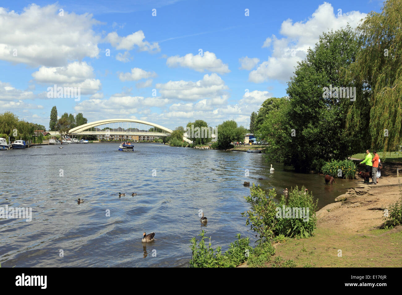 Walton Bridge, Surrey, England, UK. 25th May 2014. Walton Bridge was
