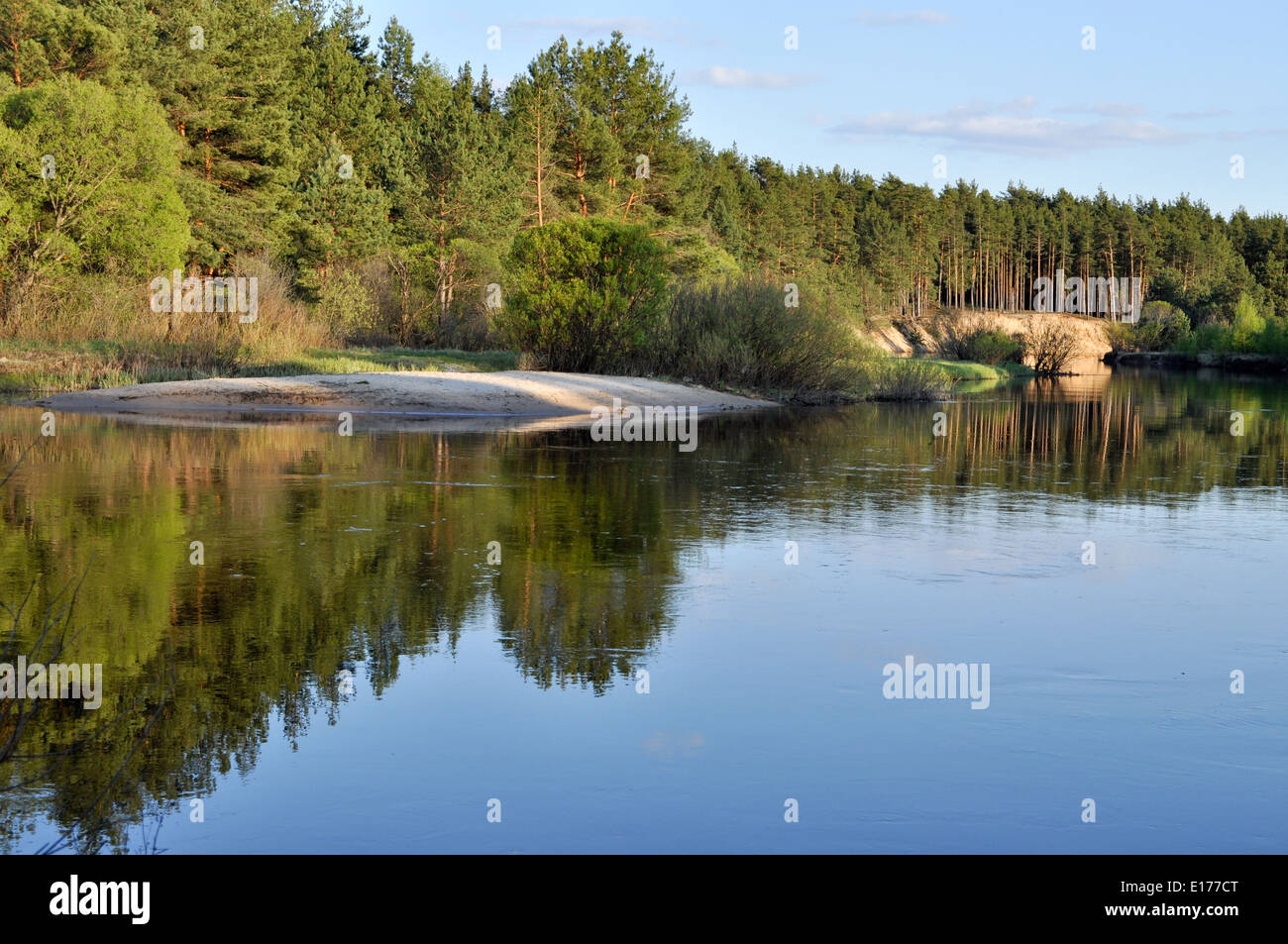 May the forest landscape of the river. National Park 