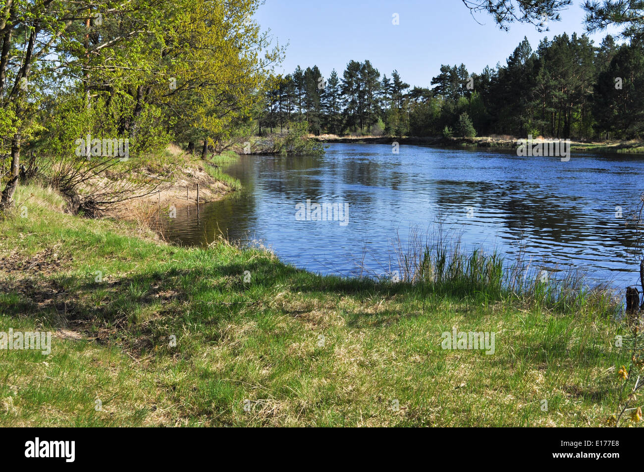 River landscape. National Park 