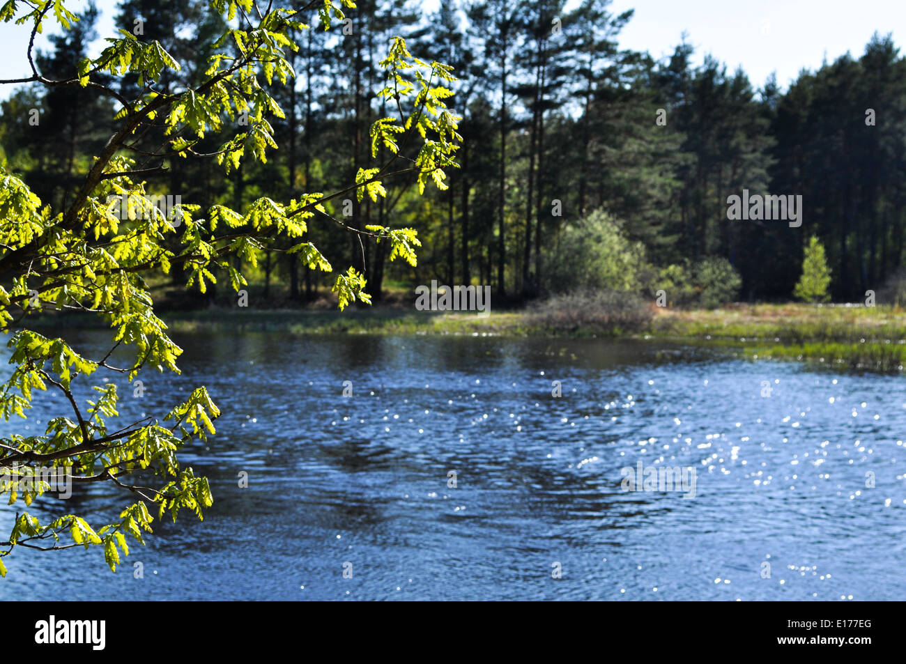 River landscape. National Park 