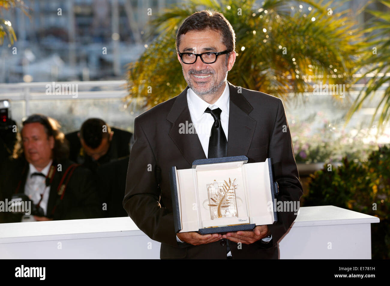 пальмовая ветвь канский фестиваль. кто является режиссером золотой пальмовой ветви. каннский фестиваль золотая ветвь. кинопремия золотая пальмовая ветвь. пальмовая ветвь канский фестиваль.