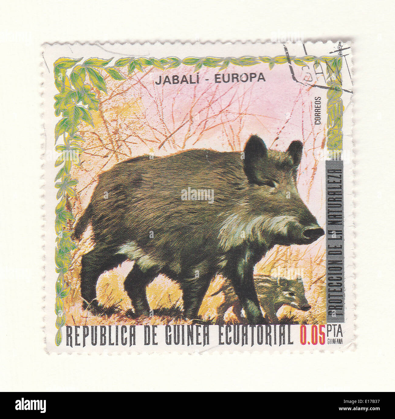 warthog postage stamp Stock Photo