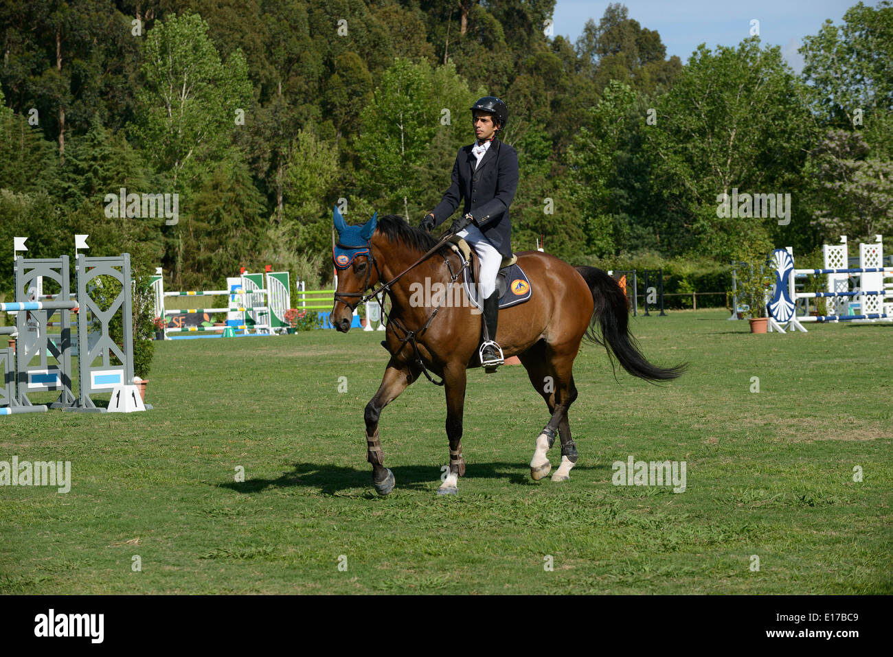 On Rider Rider on horse Stock Photo - Alamy