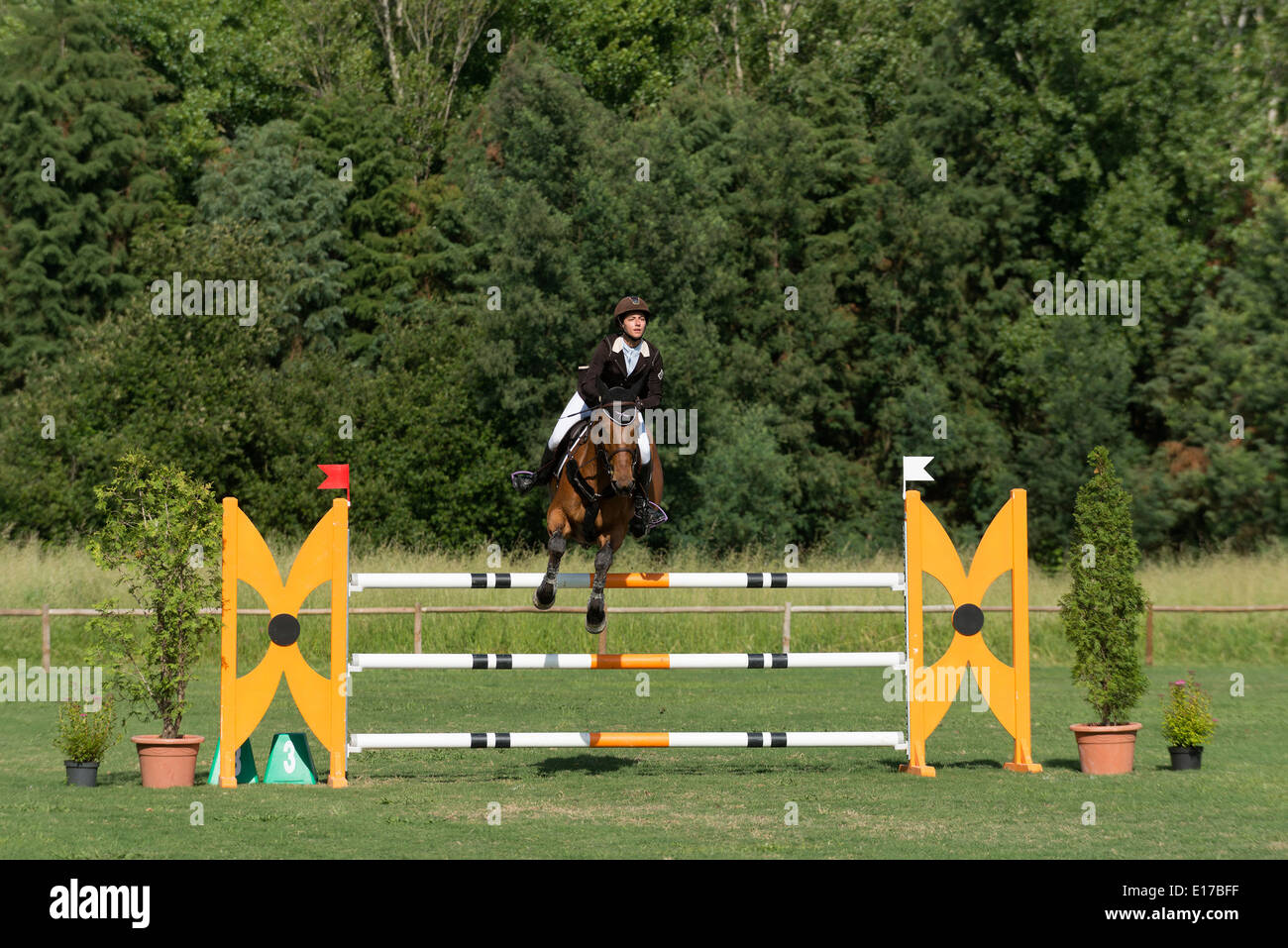 Rider jumping over obstacle hires stock photography and images Alamy