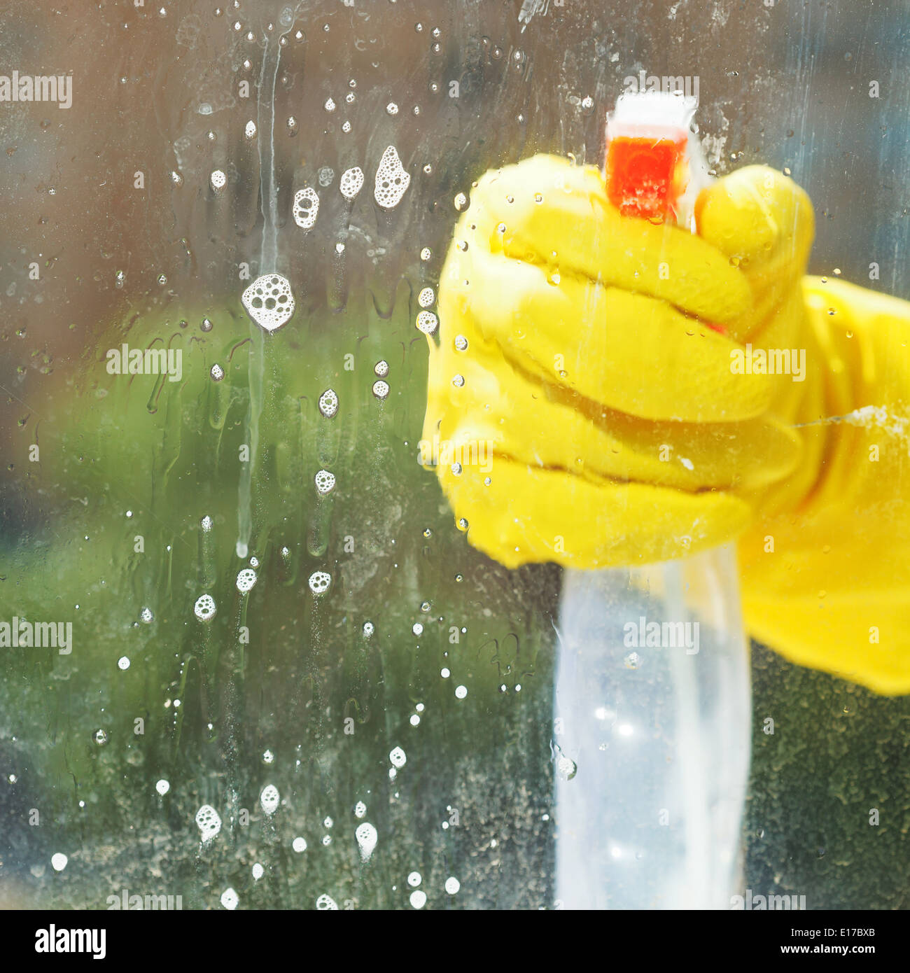 Soapy solution hires stock photography and images Alamy