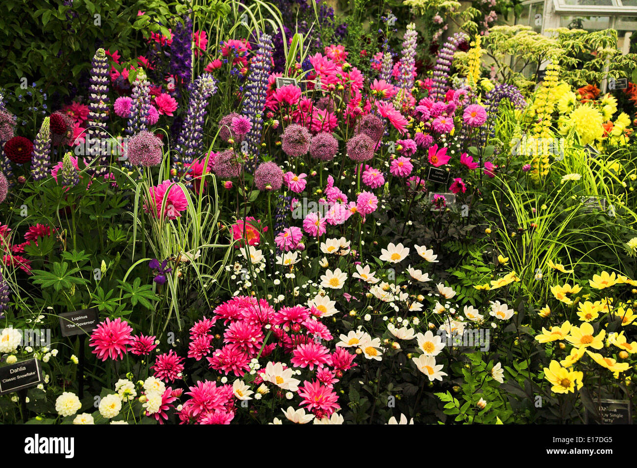 Chelsea Flower Show 2014 Stock Photo