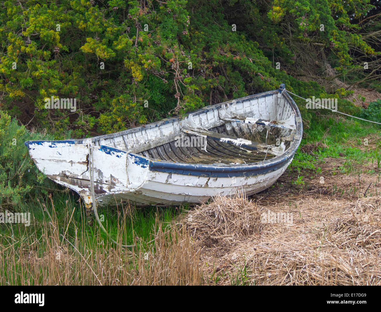 A derelict old wooden fishing boat lying on rough grass at Brancaster Norfolk UK Stock Photo
