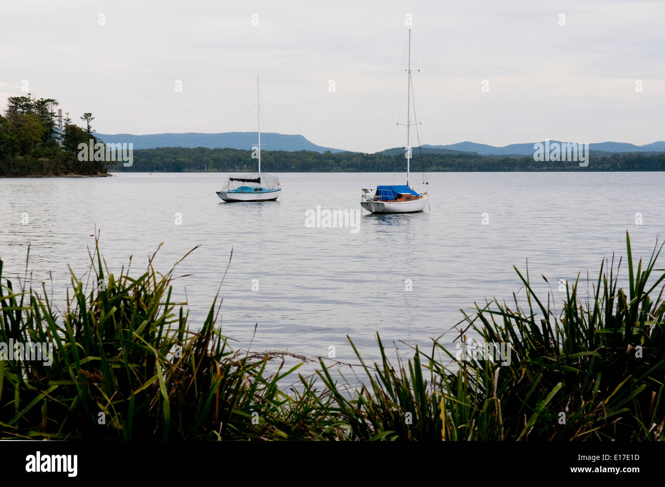 Yachts anchored in Lake Macquarie, Balcolyn, New South Wales, Australia. Stock Photo