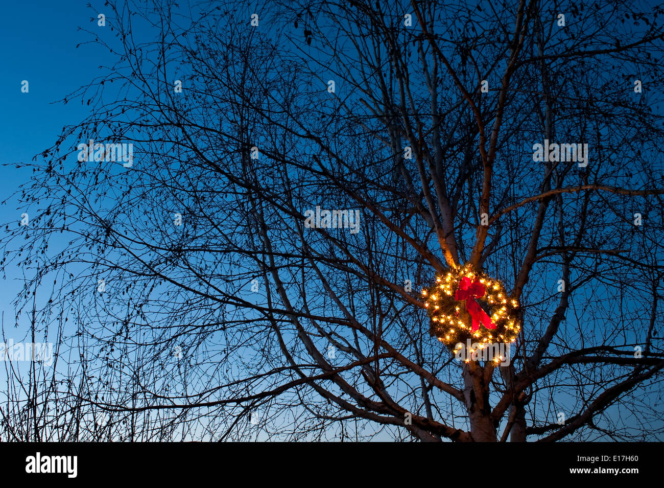 Lit Christmas wreath with red bow hanging in tree during the Holiday season Stock Photo