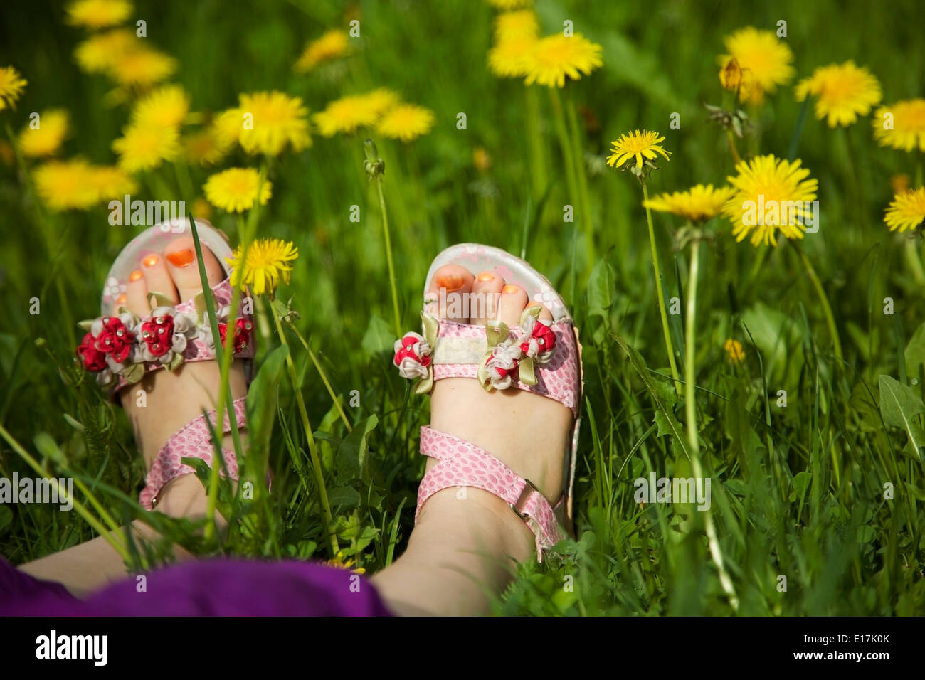 Young girl lying on grass in the middle of dandelions Stock Photo - Alamy