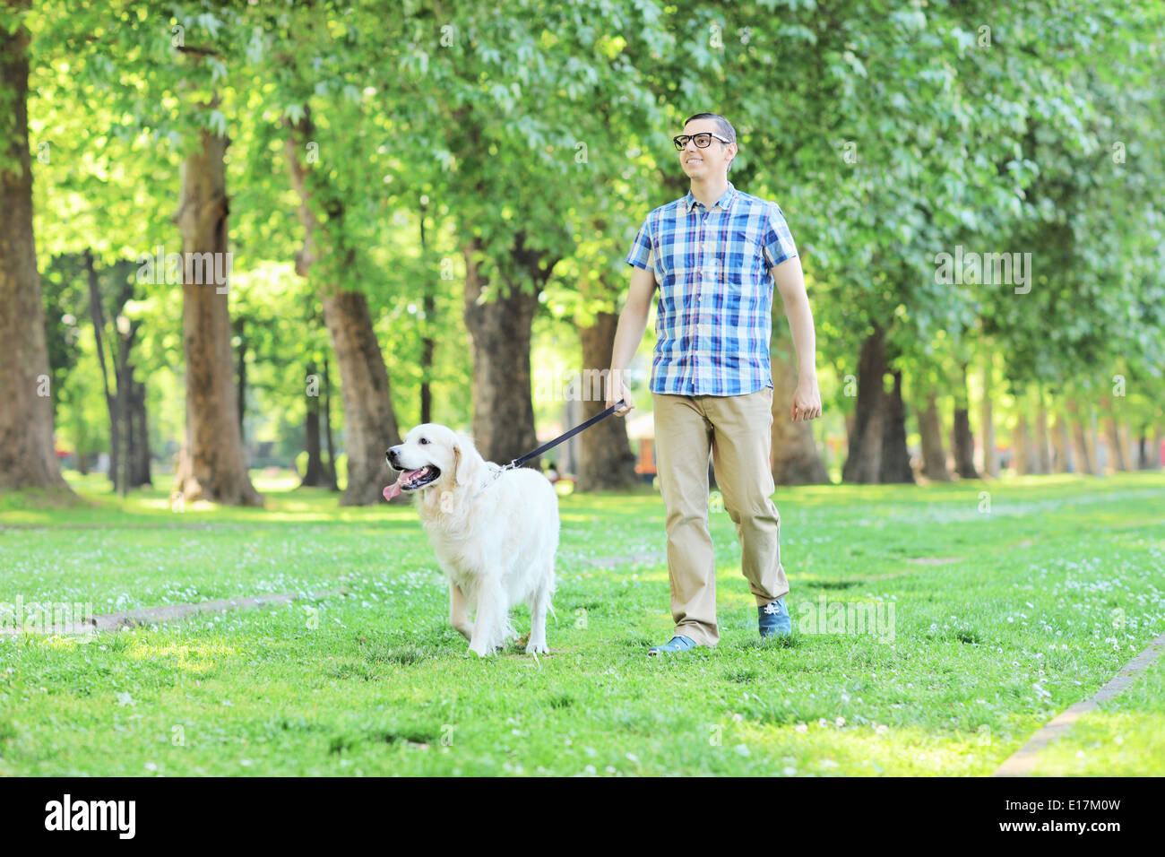Young man walking his pet dog outdoors Stock Photo