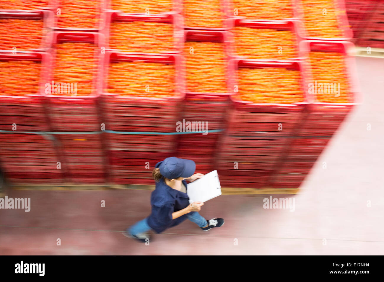 Worker with clipboard walking past tomato crates in food processing plant Stock Photo