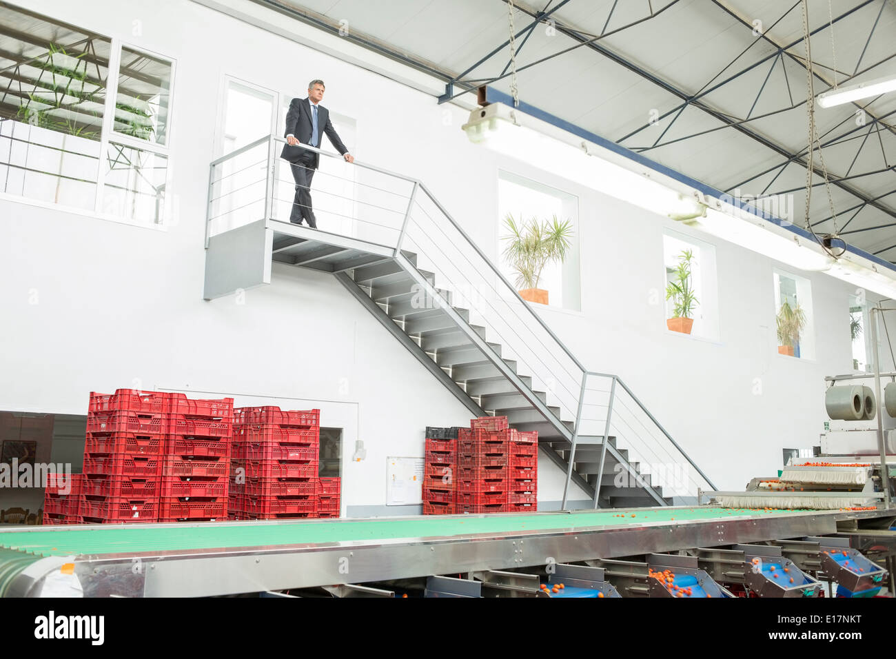 Supervisor standing on platform in food processing plant Stock Photo