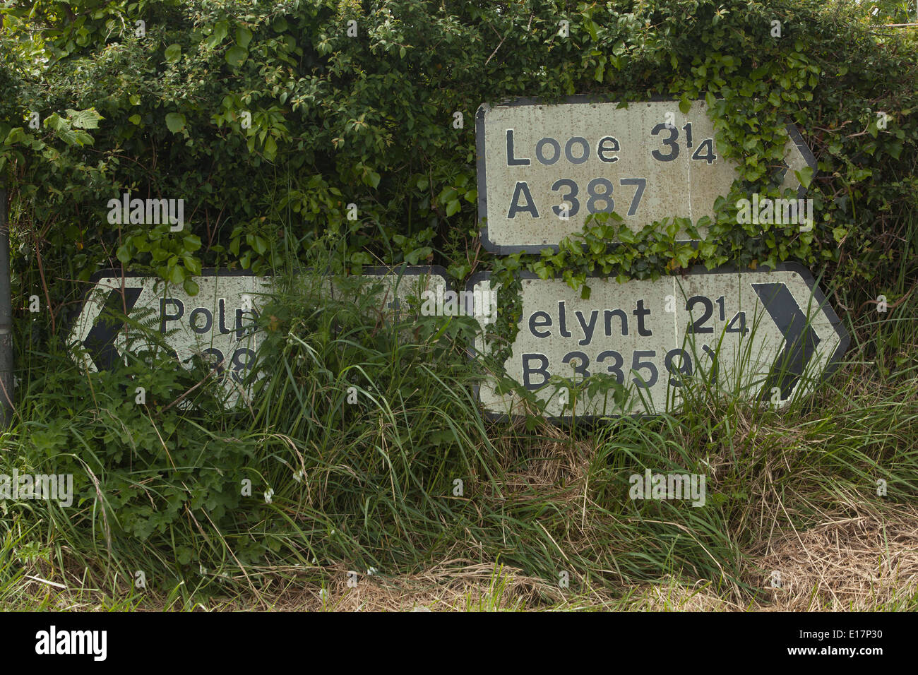 Road signs overgrown with weeds and grass beside a road near Looe in Cornwall, Stock Photo